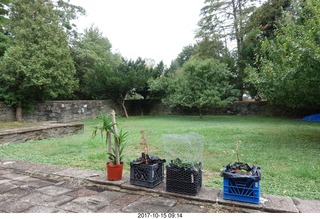 607 9uf. Betsy's yard