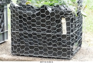 611 9uf. Betsy's yard - wire mesh