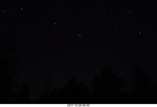 stars with the Pleides