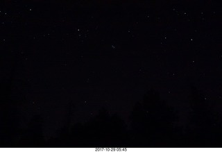 stars with the Pleides