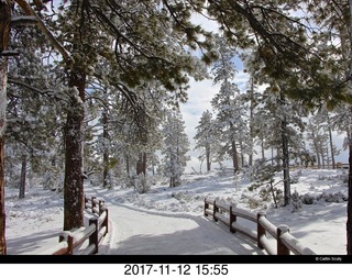 pictures from bryce-canyon sd-card - birds