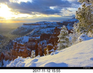pictures from bryce-canyon sd-card - animal