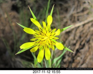 pictures from bryce-canyon sd-card