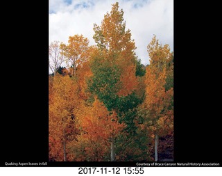 pictures from bryce-canyon sd-card