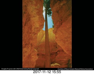 pictures from bryce-canyon sd-card