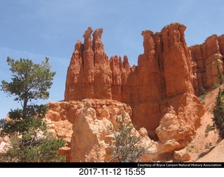 pictures from bryce-canyon sd-card