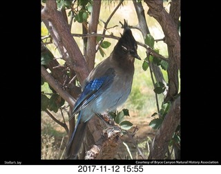 pictures from bryce-canyon sd-card