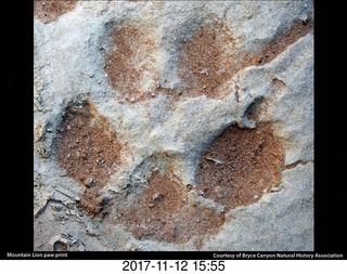 pictures from bryce-canyon sd-card  - mounds