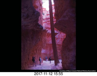 pictures from bryce-canyon sd-card - old