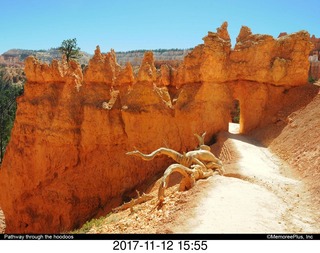 pictures from bryce-canyon sd-card