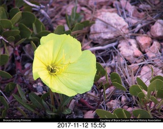 pictures from bryce-canyon sd-card