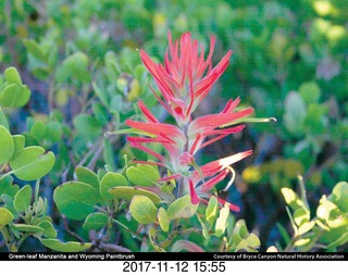 pictures from bryce-canyon sd-card