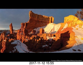 pictures from bryce-canyon sd-card - flower