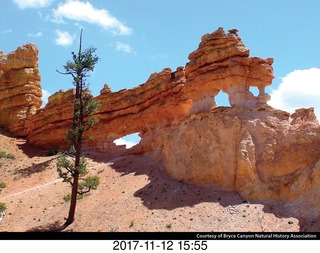 pictures from bryce-canyon sd-card