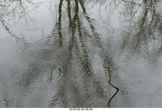 Princeton canal run - raindrops
