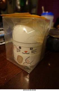 Japanese lunch carrier