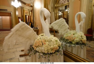 Academy of Music - Swan Lake ballet - flower swan