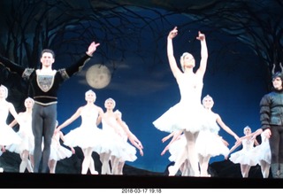 Academy of Music - Swan Lake ballet