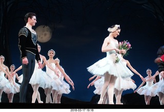 Academy of Music - Swan Lake ballet