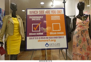 WHICH SIDE ARE YOU ON? sign