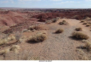 18 a03. Petrified Forest National Park - Painted Desert vista view