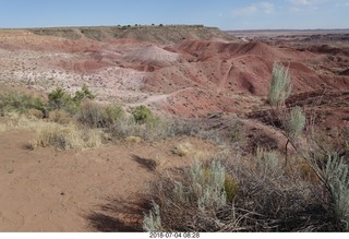 20 a03. Petrified Forest National Park - Painted Desert vista view