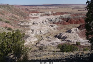 28 a03. Petrified Forest National Park - Painted Desert vista view