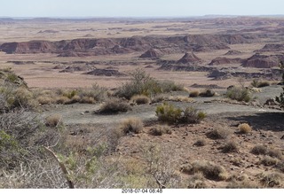 29 a03. Petrified Forest National Park - Painted Desert vista view