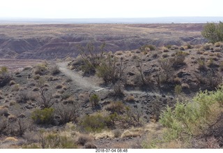 31 a03. Petrified Forest National Park - Painted Desert vista view