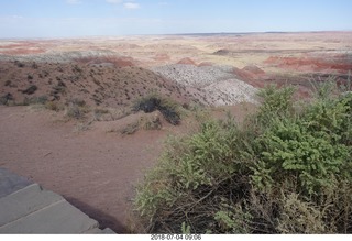 45 a03. Petrified Forest National Park - Painted Desert vista view