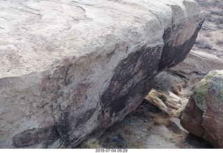 68 a03. Petrified Forest National Park - petroglyphs