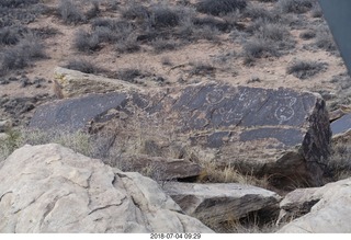 69 a03. Petrified Forest National Park - petroglyphs