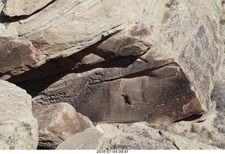 84 a03. Petrified Forest National Park - petroglyphs
