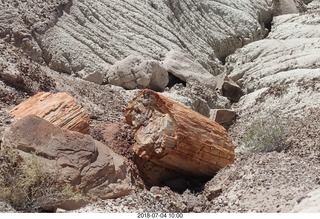 106 a03. Petrified Forest National Park - petrified log