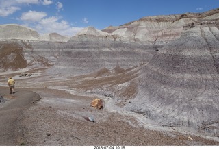 137 a03. Petrified Forest National Park - Blue Mesa hike + petrified logs