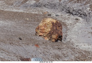 138 a03. Petrified Forest National Park - Blue Mesa hike + petrified logs