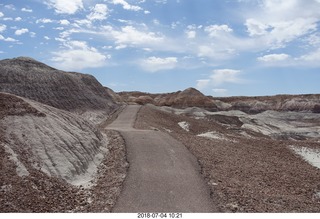 146 a03. Petrified Forest National Park - Blue Mesa hike