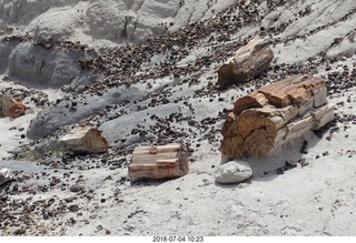 151 a03. Petrified Forest National Park - Blue Mesa hike + logs