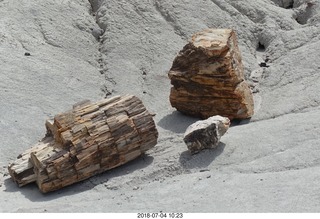 152 a03. Petrified Forest National Park - Blue Mesa hike + logs