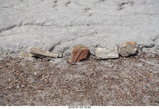 154 a03. Petrified Forest National Park - Blue Mesa hike + logs