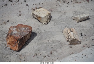 155 a03. Petrified Forest National Park - Blue Mesa hike + logs