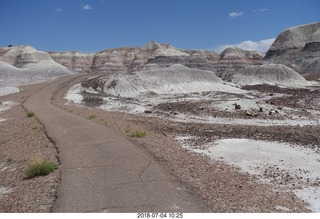 158 a03. Petrified Forest National Park - Blue Mesa hike