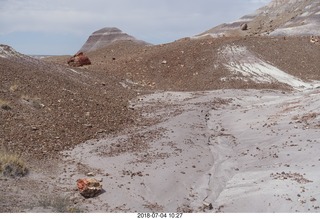 160 a03. Petrified Forest National Park - Blue Mesa hike + logs