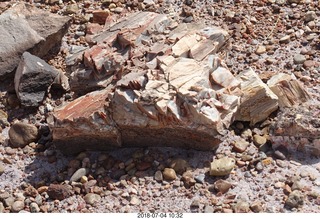 167 a03. Petrified Forest National Park - Blue Mesa hike + log