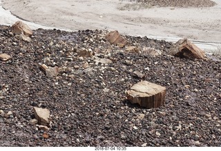 172 a03. Petrified Forest National Park - Blue Mesa hike + logs