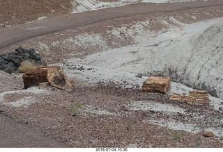 174 a03. Petrified Forest National Park - Blue Mesa hike + logs