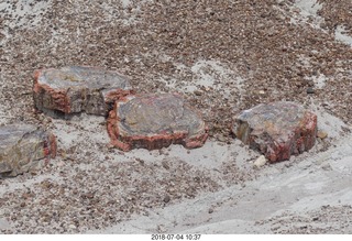 176 a03. Petrified Forest National Park - Blue Mesa hike + logs