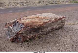 182 a03. Petrified Forest National Park - petrified log