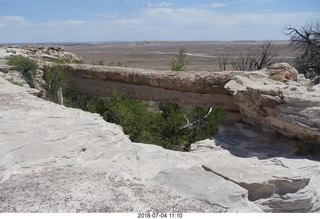 183 a03. Petrified Forest National Park - petrified log bridge