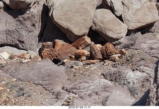 192 a03. Petrified Forest National Park - vista view + logs